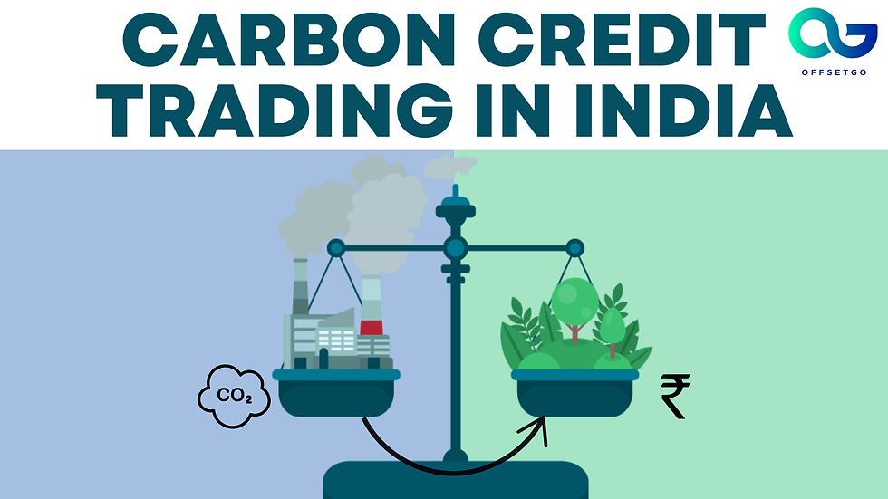 Key insights and principal findings on carbon credit trading in India