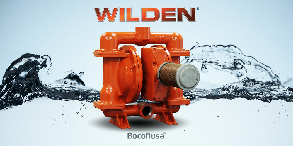 Wilde Serie Fit