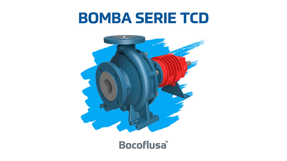 Bomba centrifuga de aceite térmico Pompetravaini