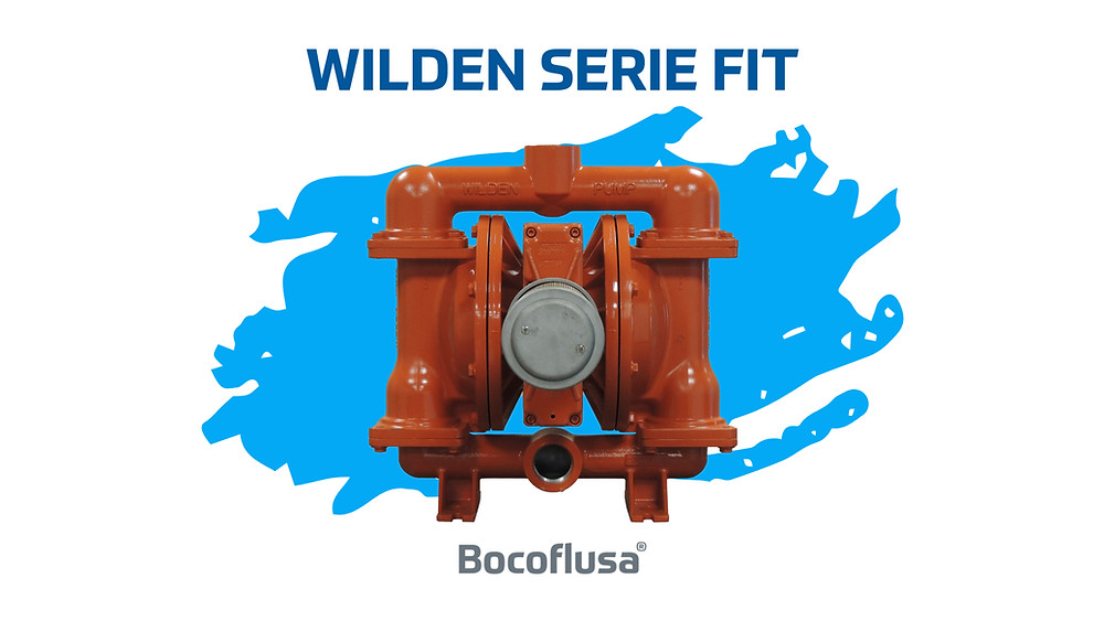Wilden Serie Fit