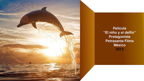 El niño y el delfín