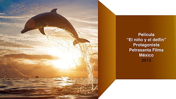 El niño y el delfín