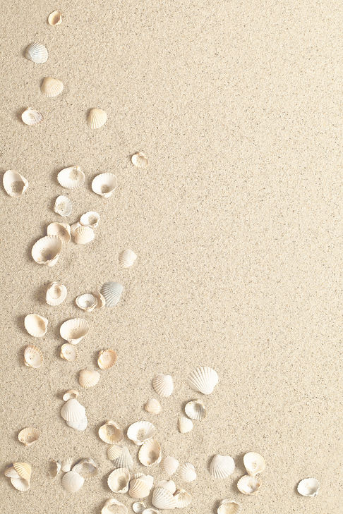 Beach_Sand_Bkgd LT_preview.jpeg