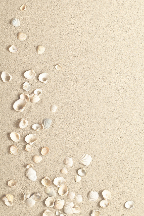 Beach_Sand_Bkgd LT_preview.jpeg
