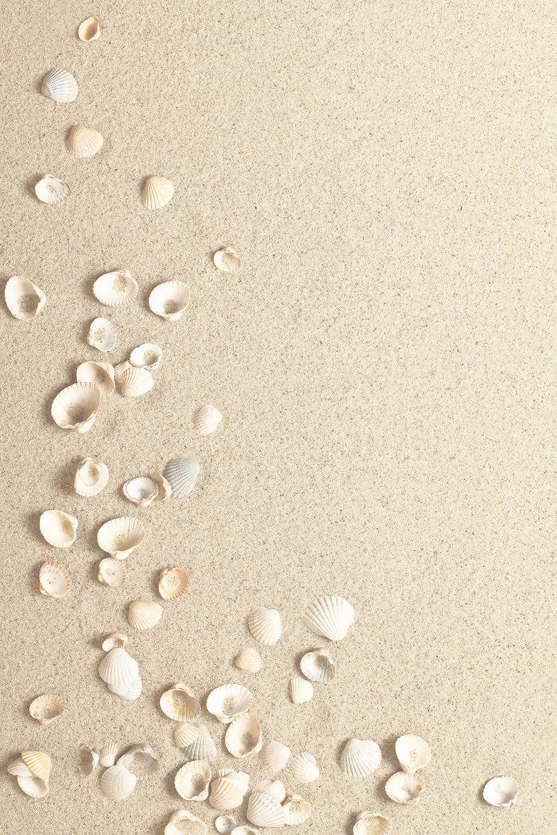 Beach_Sand_Bkgd LT_preview.jpeg