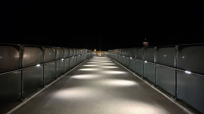 SBNF Winter 2019 Update for Beach News