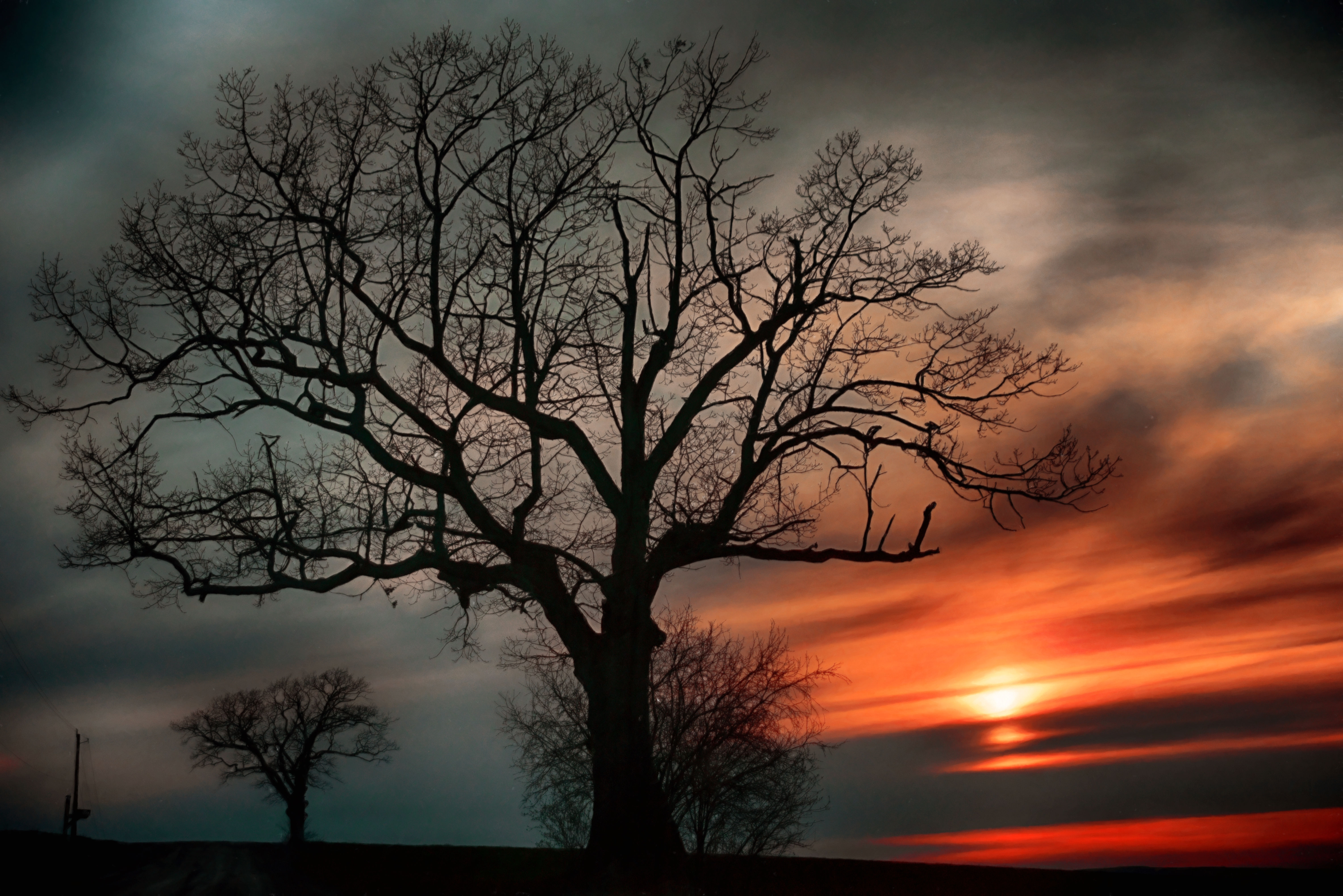 Photography, Landscape Photography, Tree, Trees, Country, Farm, Sunset, FLX