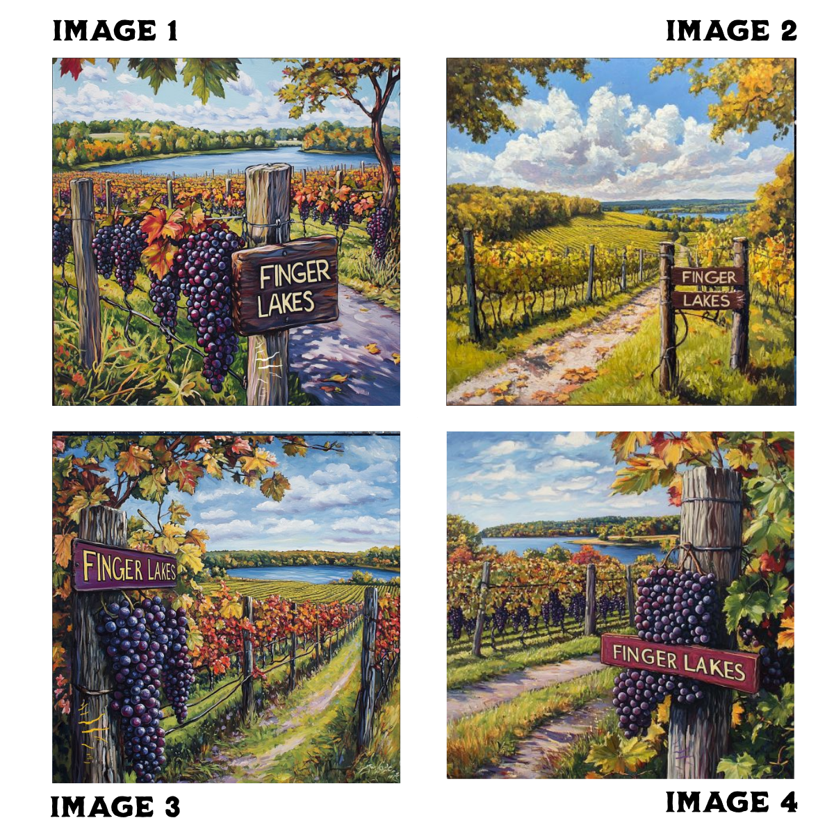 Finger Lakes Vineyard Coasters