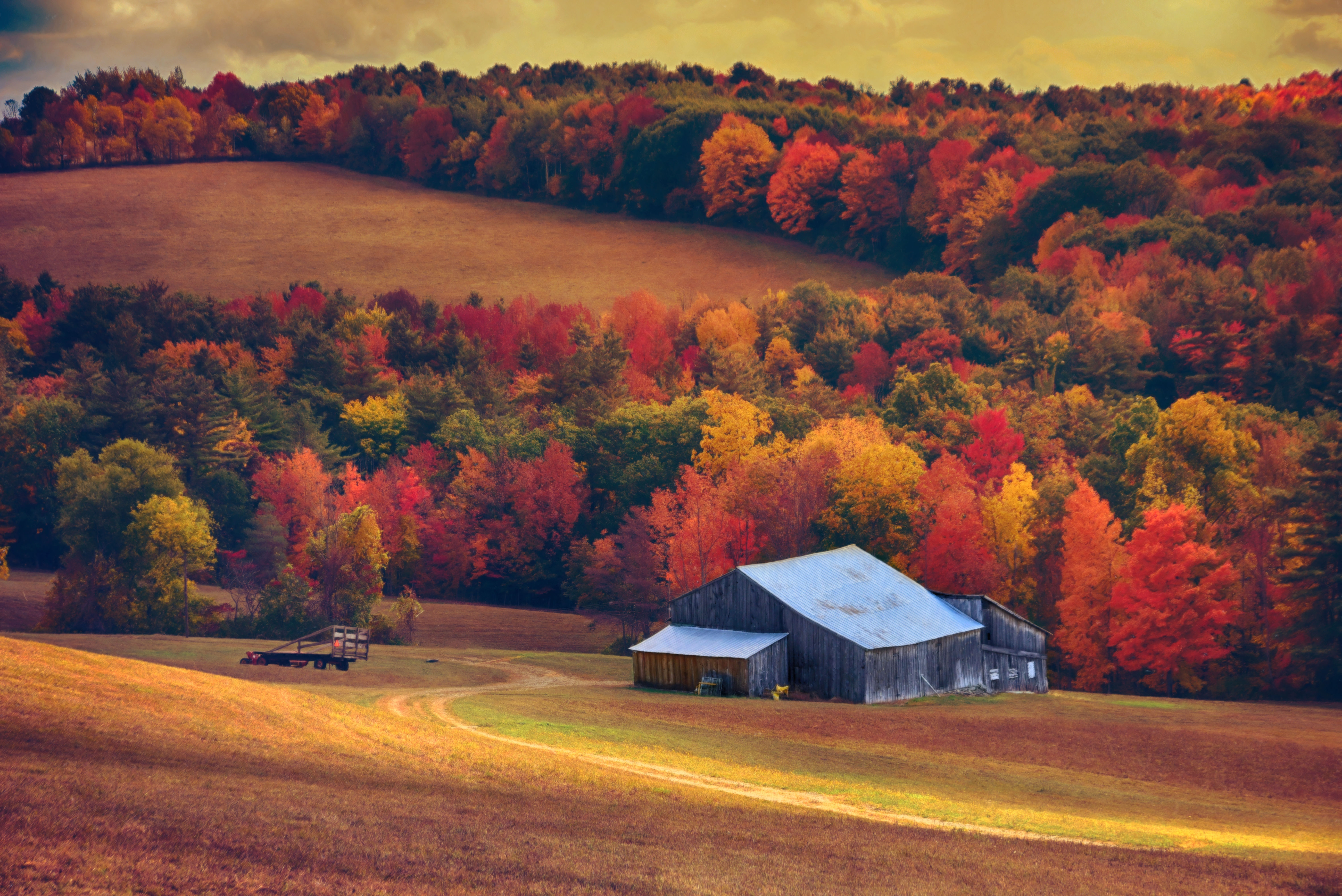 Photography, Landscape Photography, Autumn, Fall, Barns, Barn, Finger Lakes