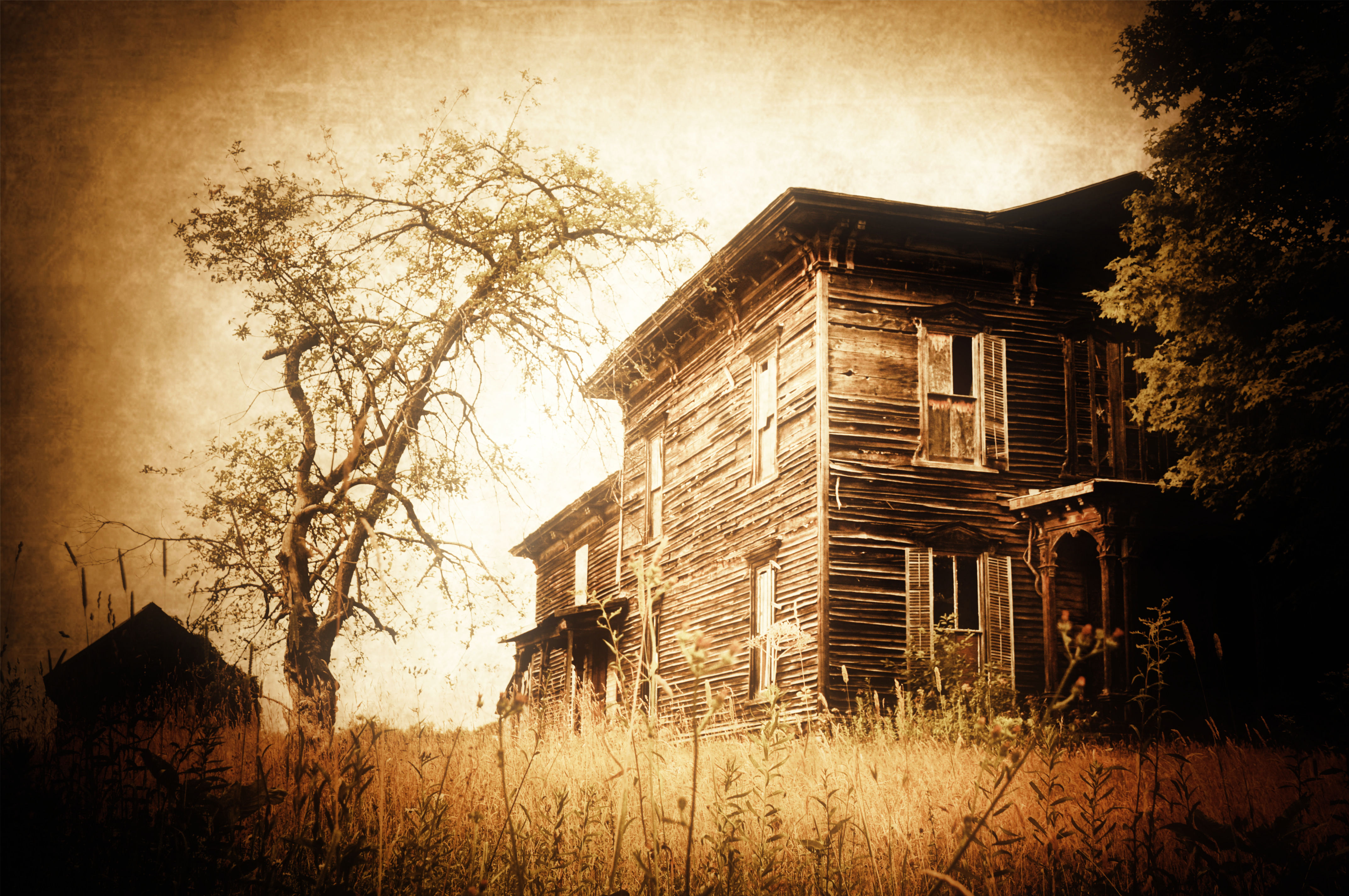 Photography, Abandoned Photography, Abandoned House, Finger Lakes, Sepia
