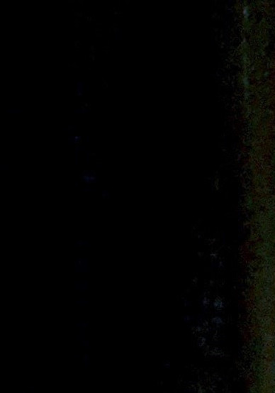 E1CFF2C1-24F4-4645-B094-5A967CCDBE20.jpeg