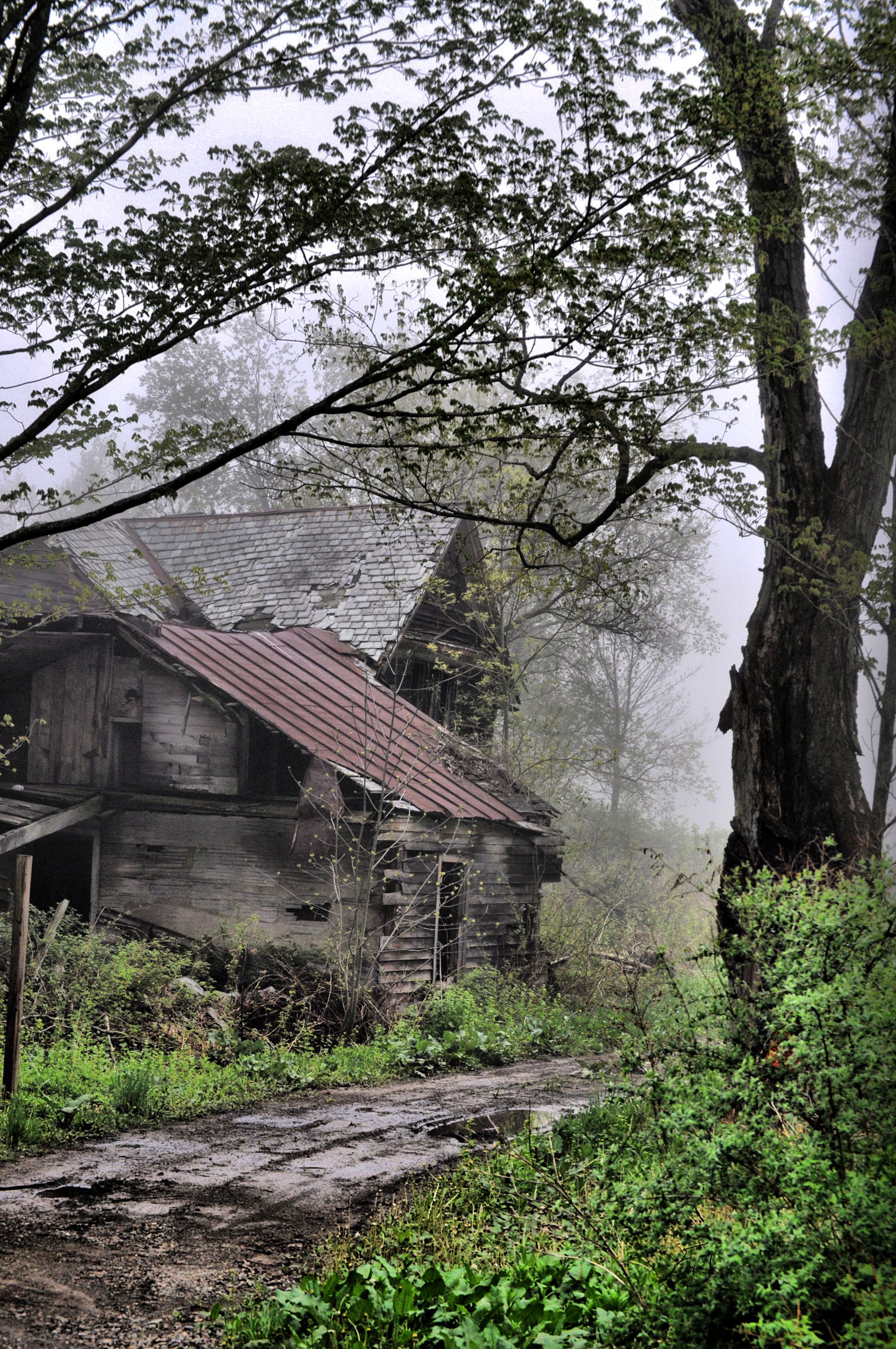 Photography, Abandoned House, Abandoned Photography - Foggy Past