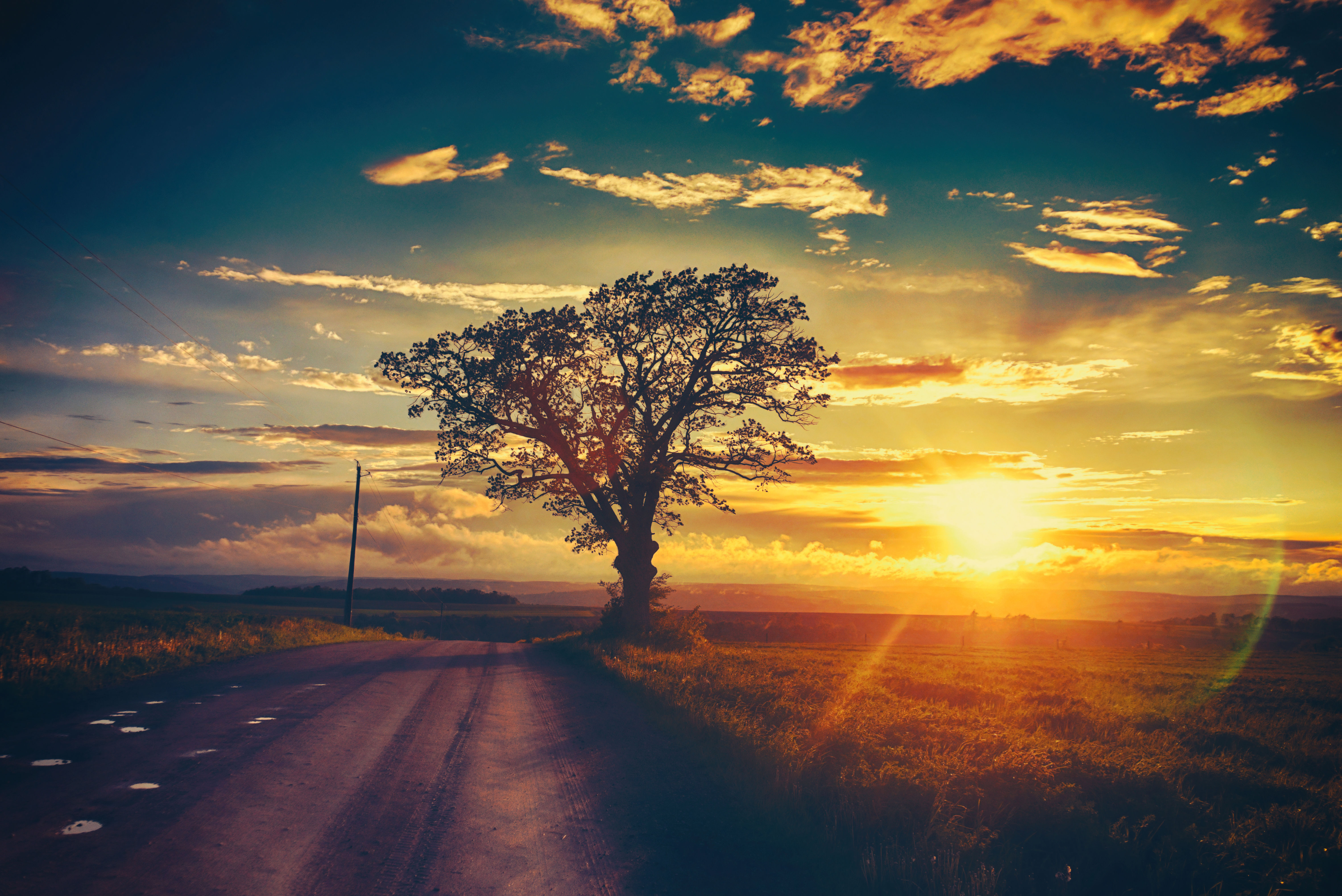 Photography, Landscape Photography, Tree, Trees, Road, Country, Farm, Sunset FLX