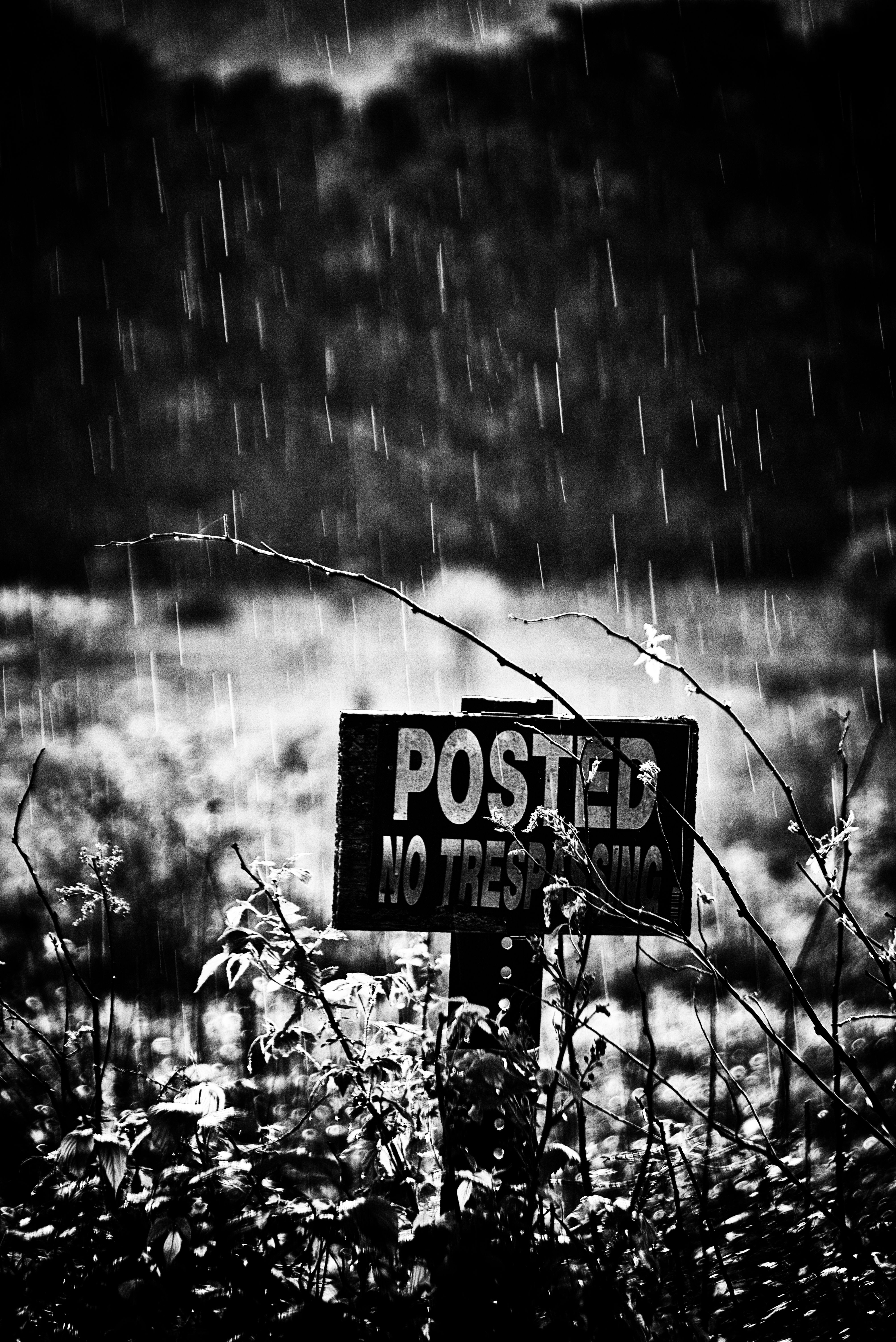 Photography, Film Photography, Black And White, Landscape, Posted