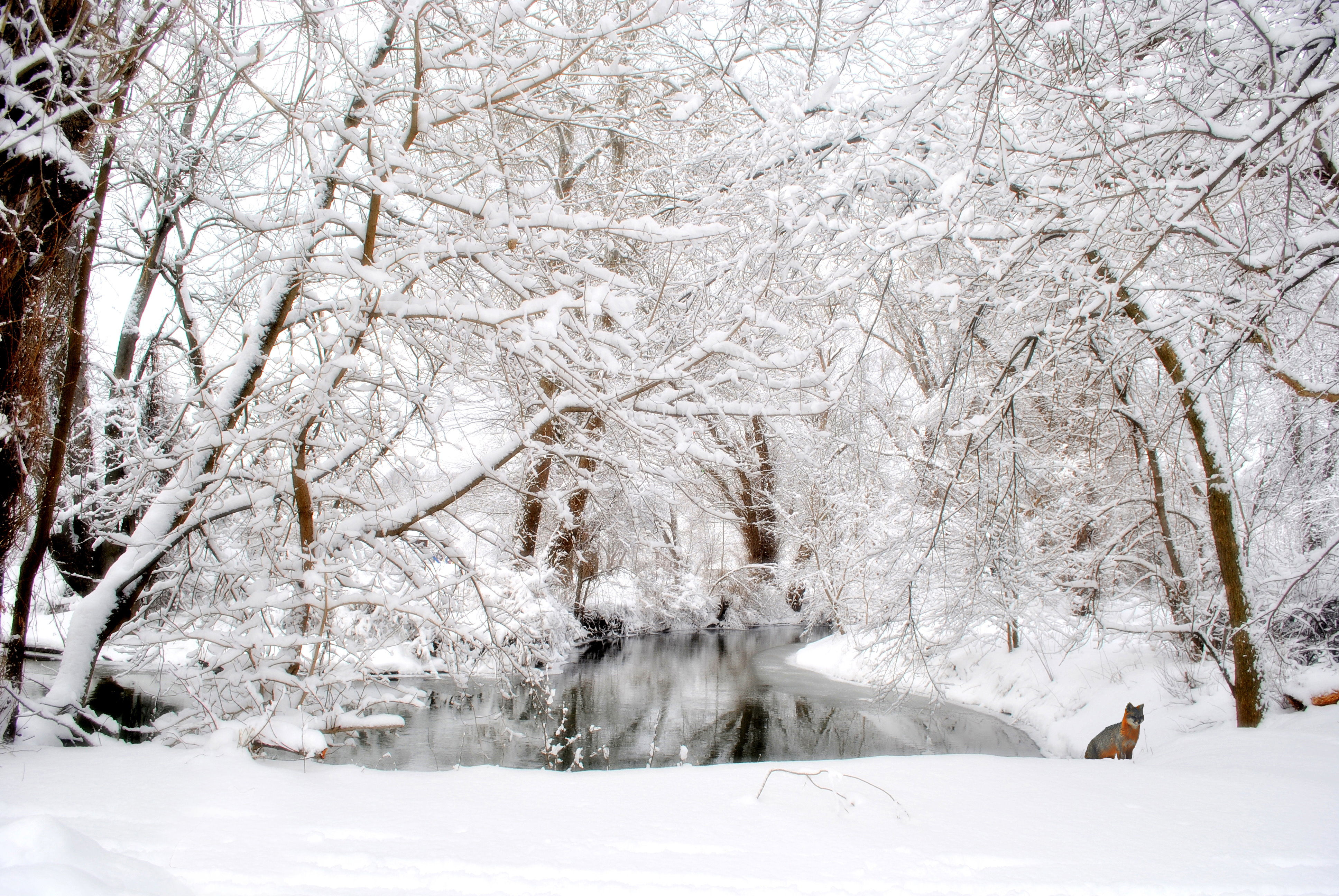 Photography, Landscape, Winter Scenes, Snow Scenes, Winter L