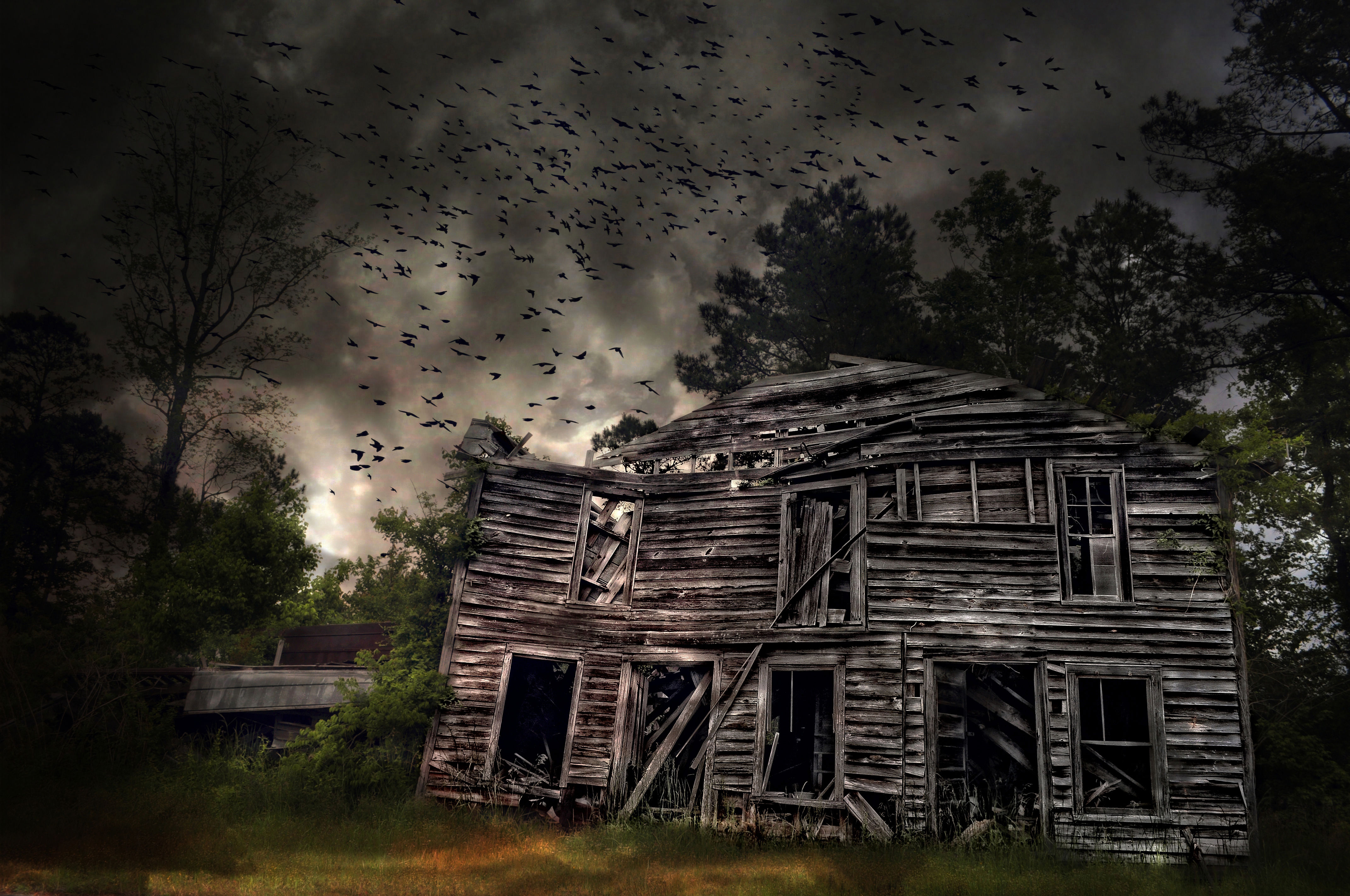 Photography, Abandoned, Abandoned House, Virginia