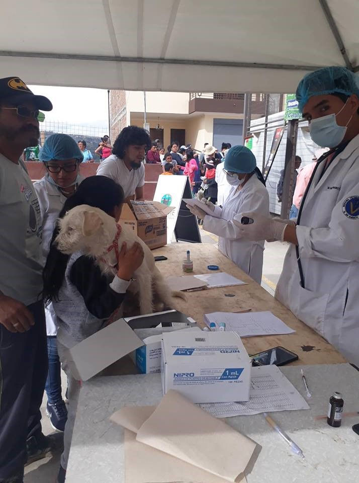Esterilización en Ricaurte