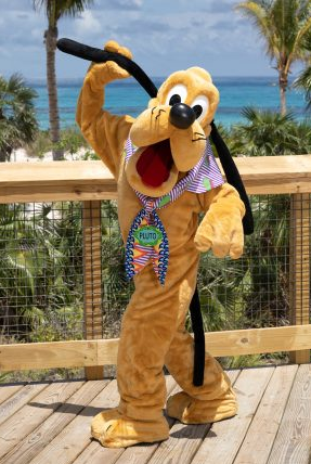 Pluto - Disney Lookout Cay