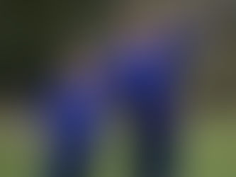 Sefton Park's Jimmy Dixon included in England World Cup squad