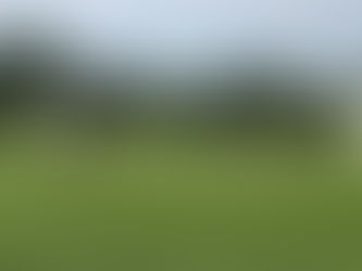 Wednesday 31st May - First XI exit Echo Knockout 