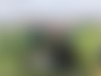 Cricket at last as Pete Elliott's Sunday XI win at Trafalgar Road 