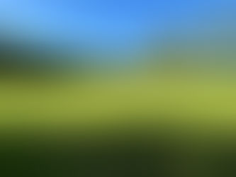 Monday 28th May - Two Bank Holiday victories 