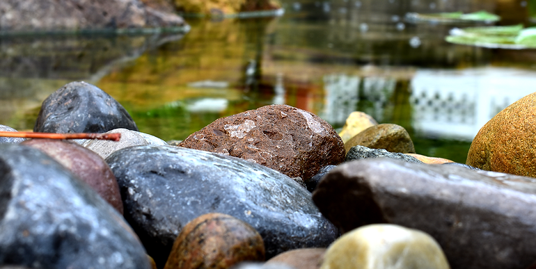 Rocks-closeup.png