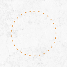 Mitocondria Direction