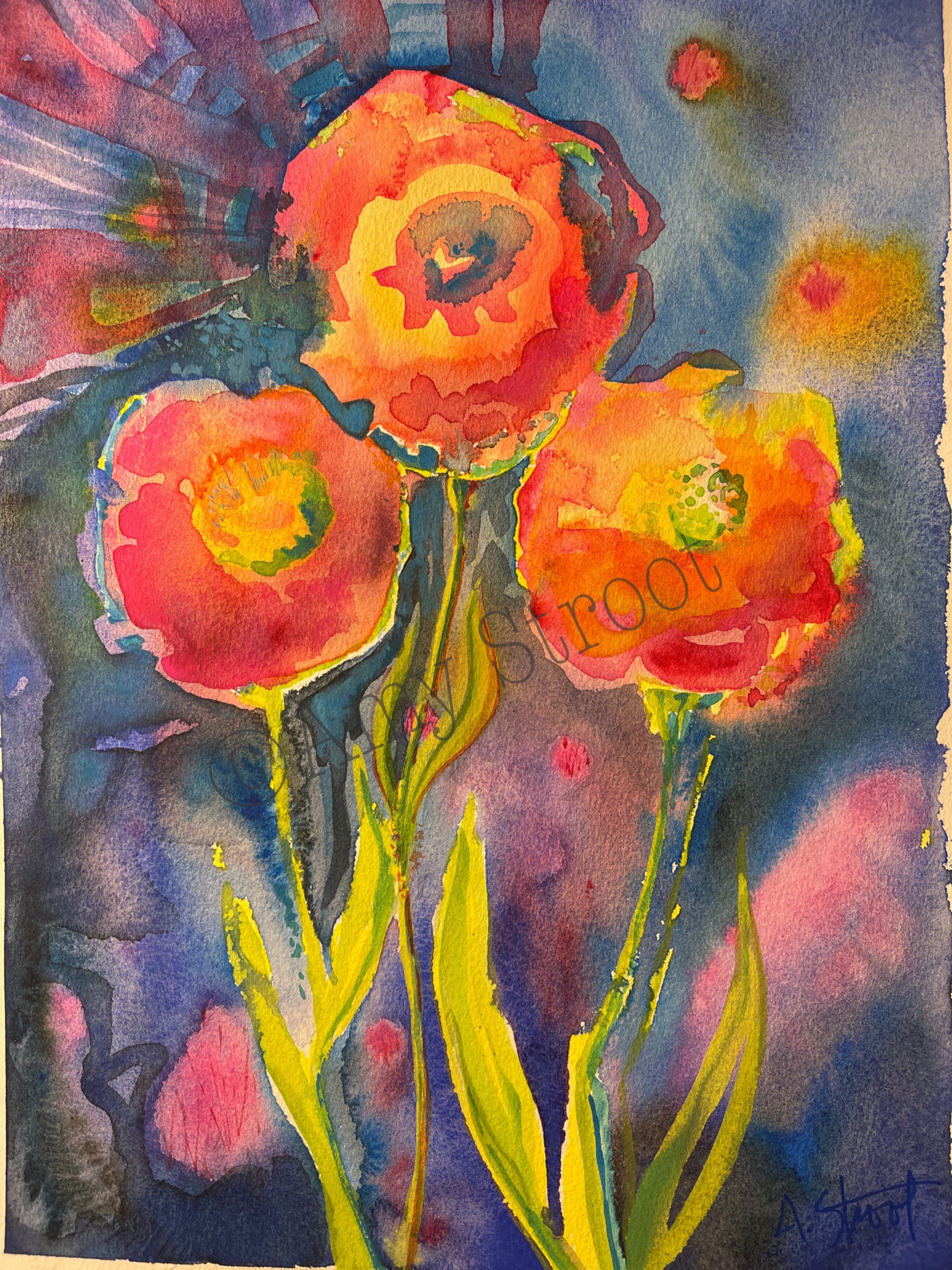 “Poppies 1”