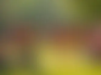 Grupo diverso de pessoas brincando em roda com instrumentos musicais em um parque