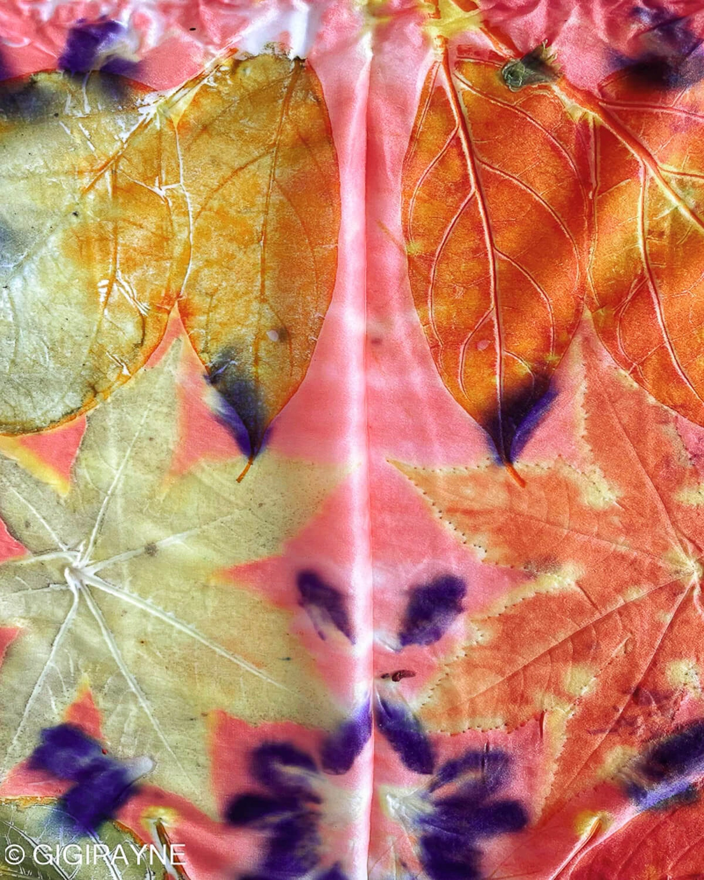 ecoprinting workshop in Chicago