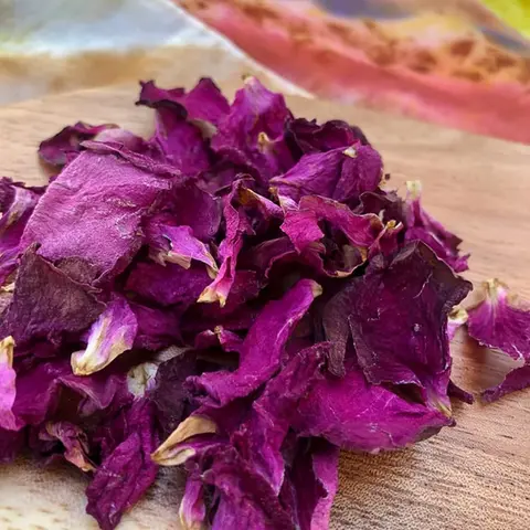 Natural Dye Craft Workshop