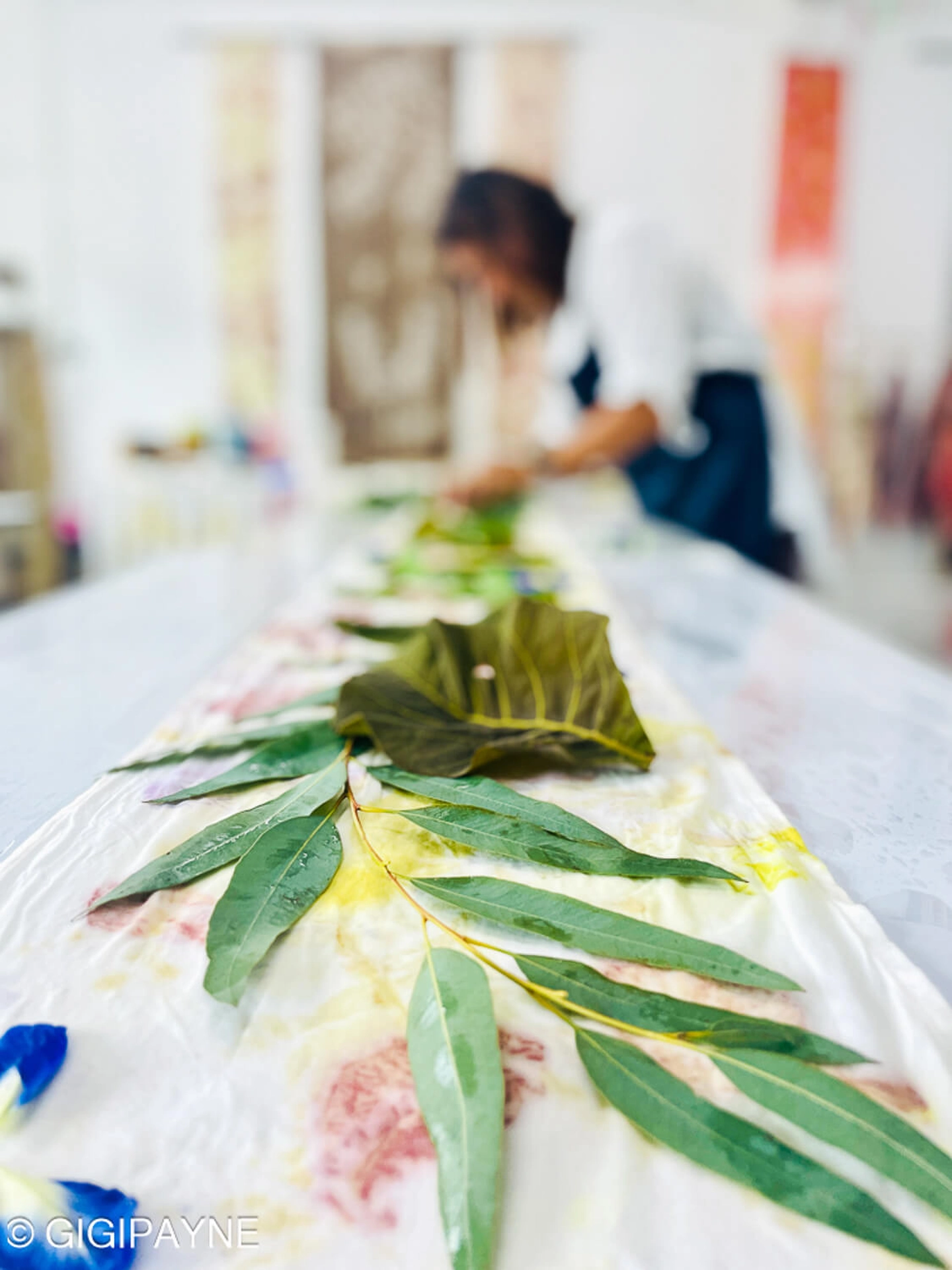 ecoprinting workshop in Chicago