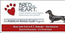 akc bred with heart.jpg