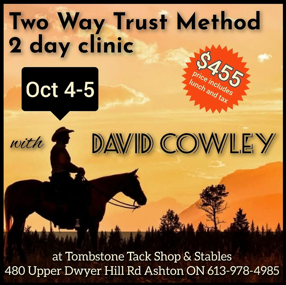 Two-Way Trust Horsemanship ~ David Cowley