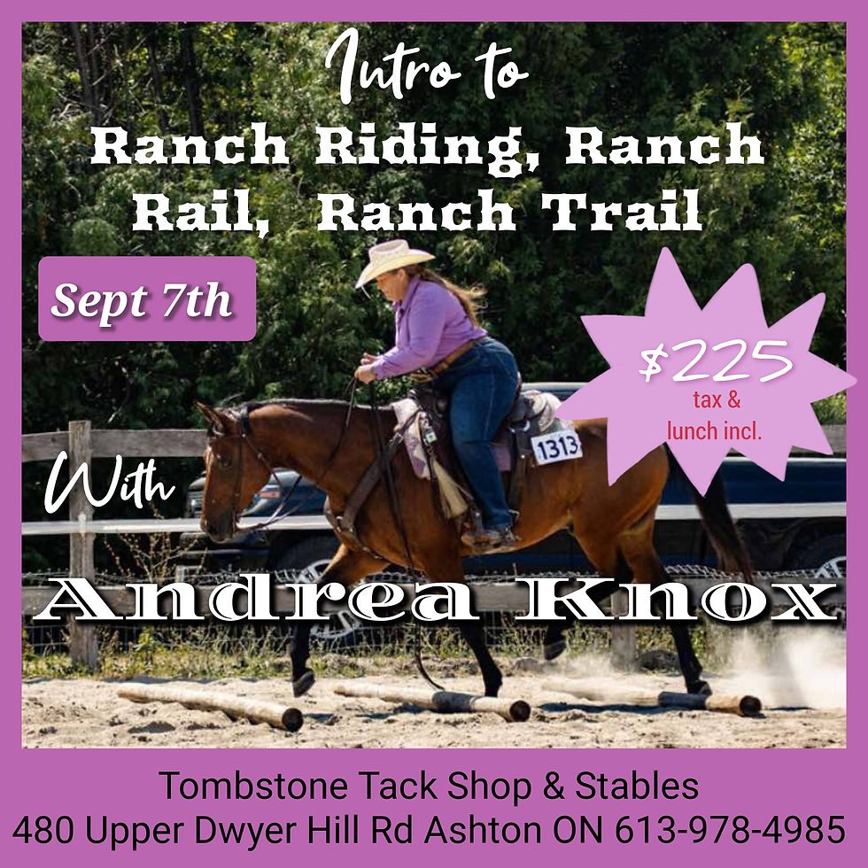 Intro to Ranch Riding, Rail & Trail ~ Andrea Knox