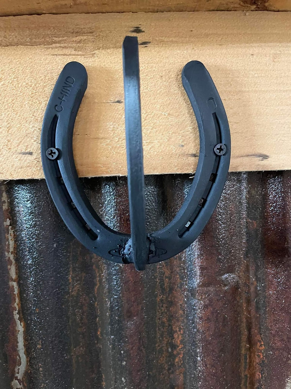 Coat Hook