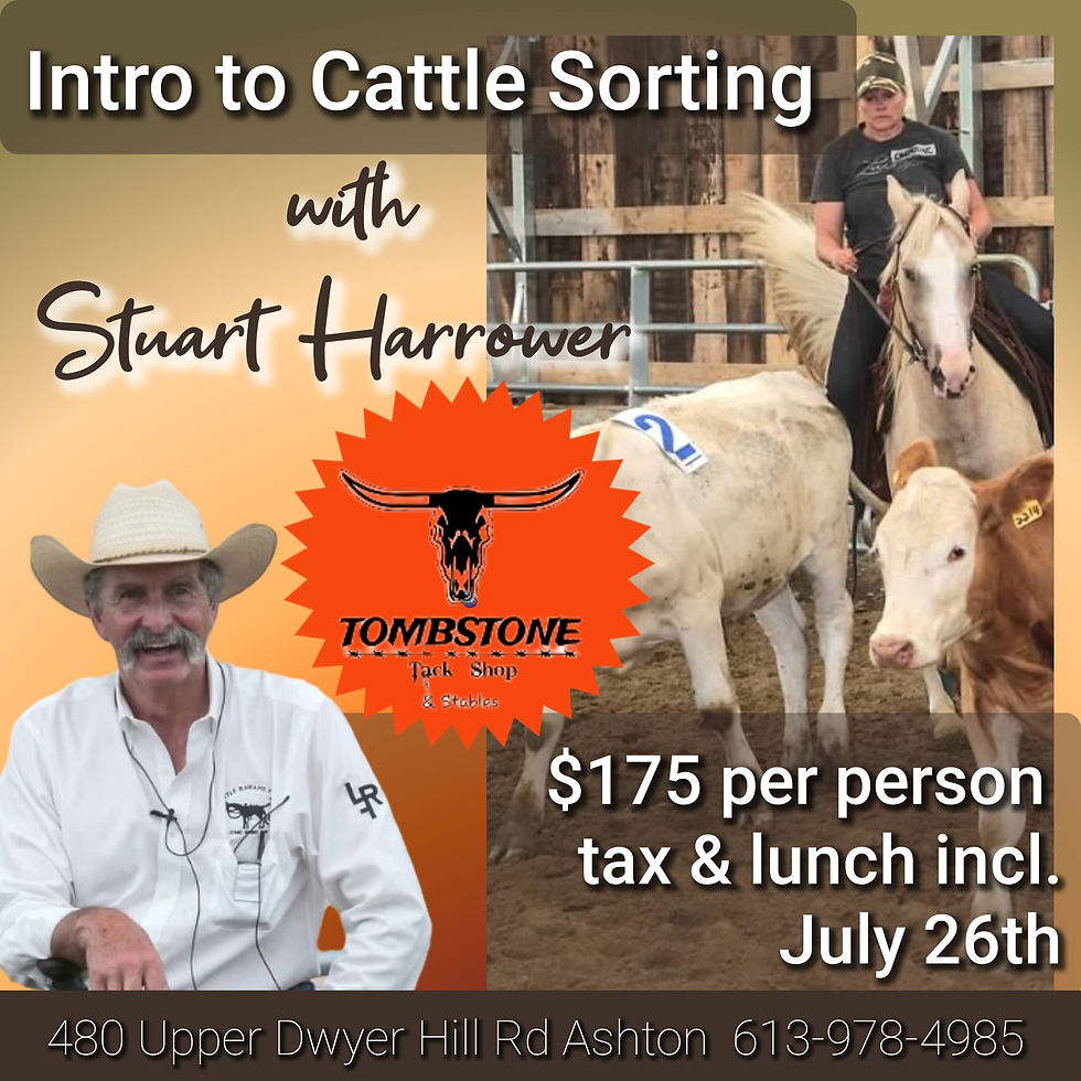 Intro to Cattle Sorting ~ with Stuart Harrower