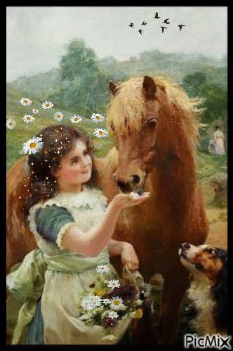 9328670_6aab4.gif
