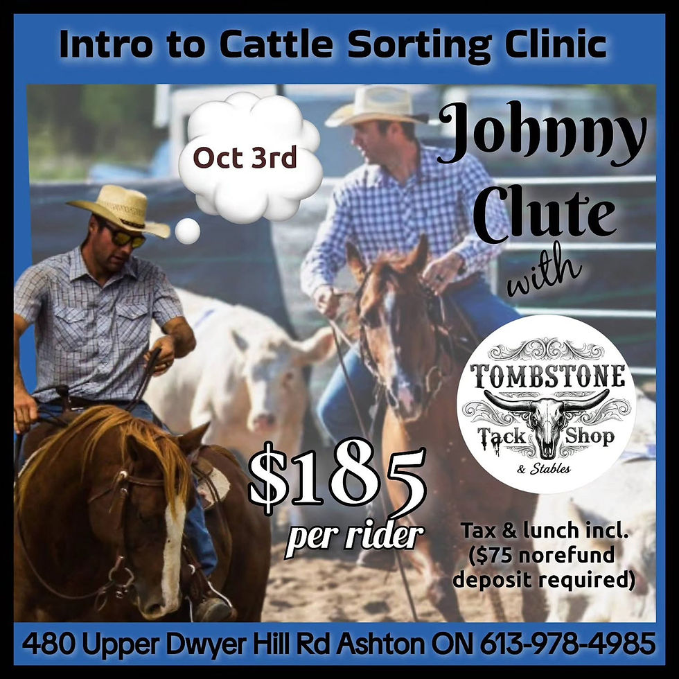 Intro to Cattle Sorting Clinic ~ Johnny Clute