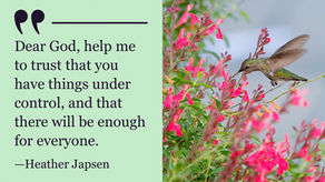 Lessons from a Hummingbird