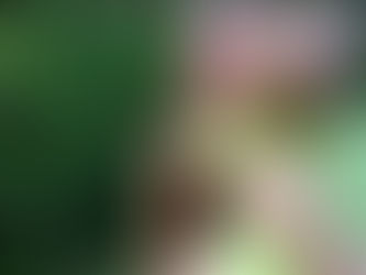 Über Authentizität