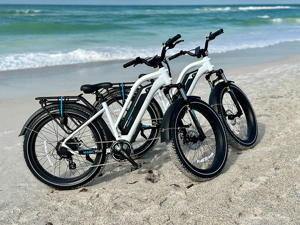 ebikes.jpg