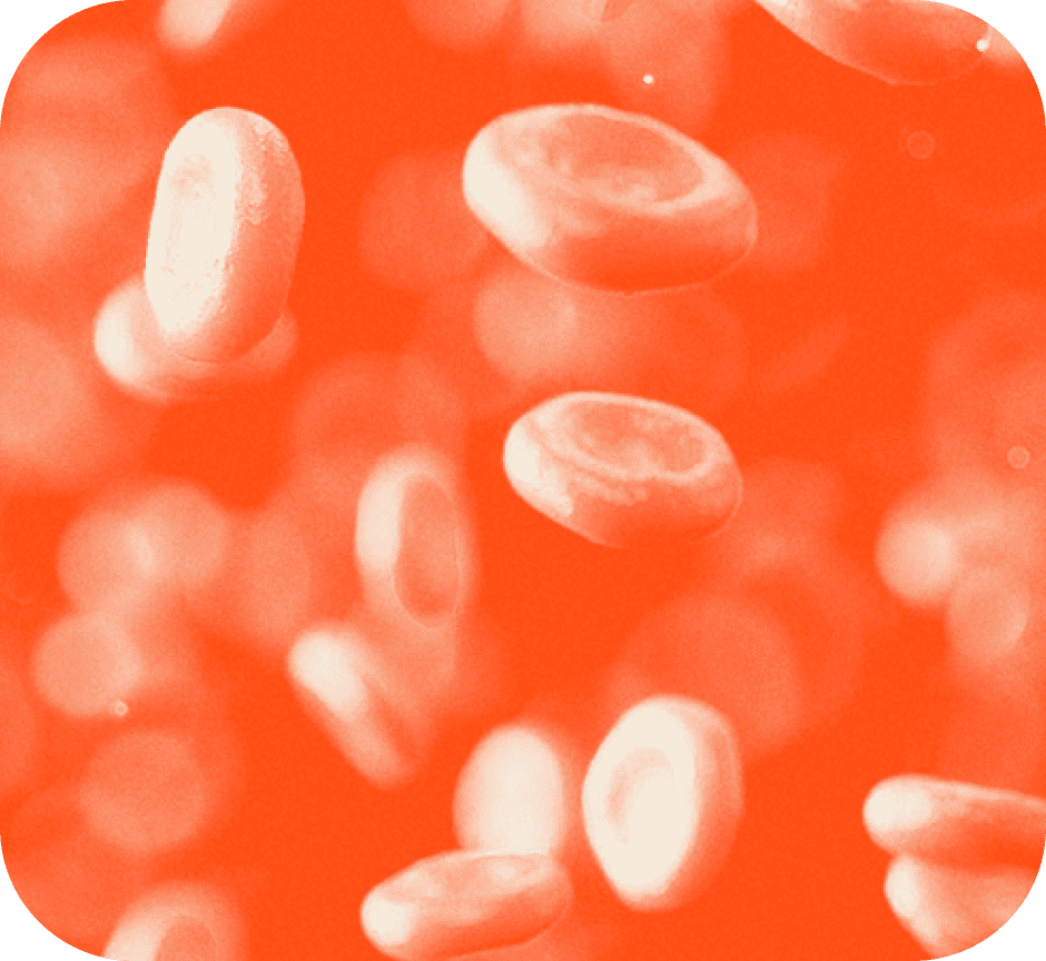 blood cells red.png