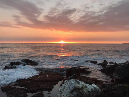 Do human beings ever realize life while they live it? The Art of Savoring