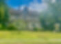 D7E089EC-B375-4309-A05D-8A1D987B8FE2.jpeg