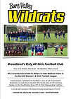 Wildcats Poster