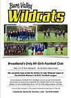 Wildcats Poster