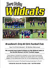 Wildcats Poster