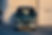 AWOLsystems_Subaru_Sambar-01.jpg